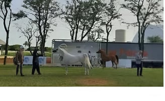 Show EXPONEL - Avaré - SP - Brazil - Jun/2025