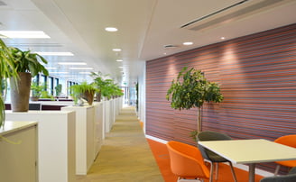 Oficinas para Lilly Laboratorios