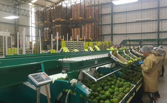 Estanterías flexibles