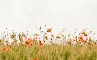nature et santé