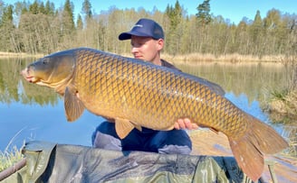 Karpių žuklė ilgio ežere su Renmar Baits Red Fish boiliais