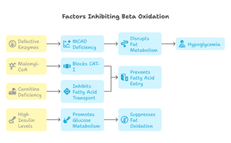 beta oxidation inhibition