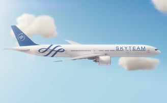 Skyteam 01