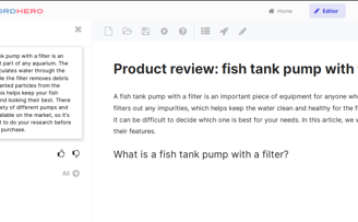 product review - brief intro output