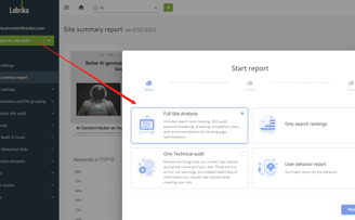 Labrika Website Auditor