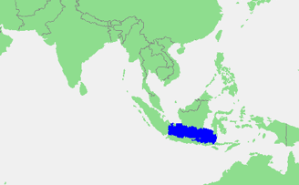Mapa do mar de Java, área em destaque - wikimedia