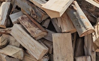 blue gum eucalyptus fire wood