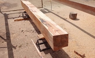 Off saw pine pines pinaster beam