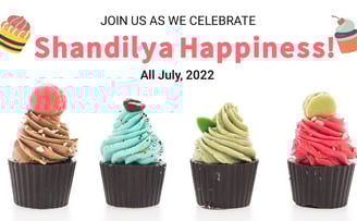 VARIETY OF ICE CREAMS AND FRUIT CHATS