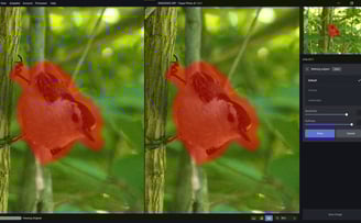 Increasing sensitivity expands the subject mask, while softness behaves like feathering.