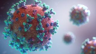 mutations-in-coronavirus
