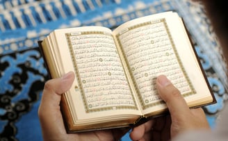 Quran English Translation