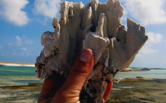 foto da autora segurando um coral em Bonaire viagens de navio