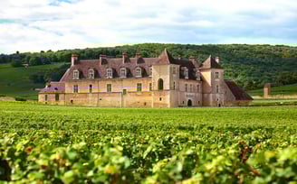 Loire Valley tour with visits to Chenonceau and Amboise castles