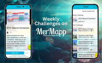 screenshots showing the weekly challenges on MerMapp
