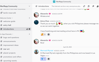 screenshot of the introductions' channel on MerMapp's Discord community chat