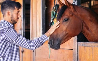 An autistic adult male patting a horse