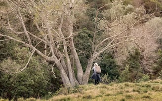 Photographer standing beneath tall trees in a natural forest during a Swellendam photography retreat.