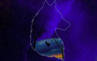 a wolf in the night sky with a eagle flying in the dawn inside the wolf outline