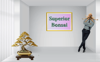 AI image of bonsai boi with bonsai tree in white room