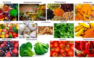 Alimentation pour se protéger du cancer