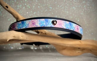 collier chien