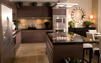 Lavish Kitchen Design