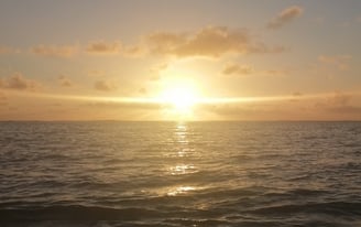 Shine, thrive, be the light