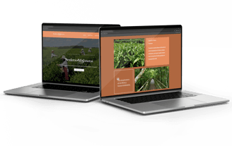 Mockup senderos misioneros con plantas de te