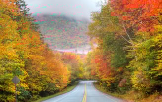 Que hacer en otoño en Estados Unidos