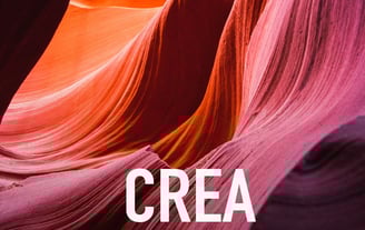 Curso Online de Fotografía