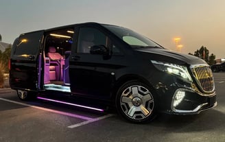Bodrum Vip Vito Private Tur