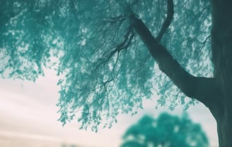 An image of a section of a tree with a blue hue
