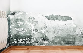 interior moisture damagr to wall, gradual damage, Independant insurance assessor