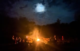 a group of people sitting around a campfire