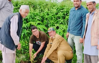 Plantation agency in India