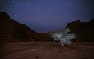 Nightscape, Voie Lactée, Milky Way, Via Lattea, Paysage Etoilé, Starry Landscape, Paesaggio stellato