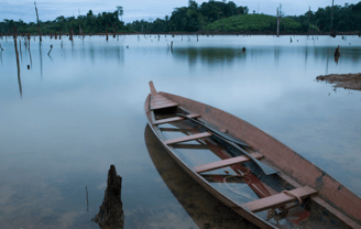 Brownsberg, Surinam