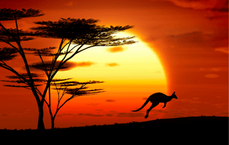 Canguro saltando al atardecer en Australia