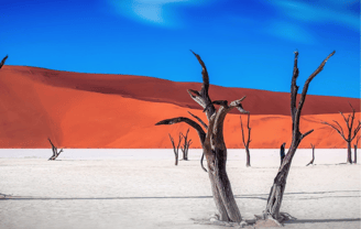 Dead Vlei, Namibia.