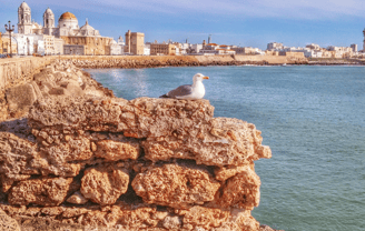 Panorámica de Cádiz
