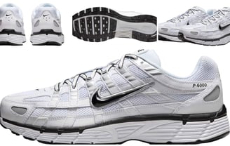 a collection sneakers , Nike P-6000