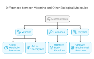 vitamins & other biological molecules