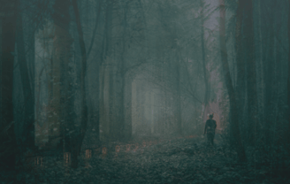 temple of echoes, an ancestral trauma constellation ritual