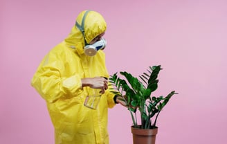 Man in ppe spraying a houseplant