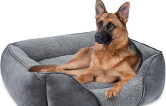 cama  perro grande