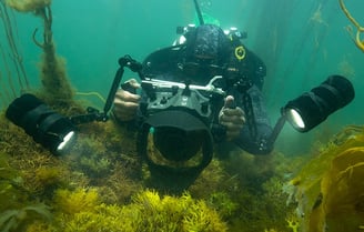 Nicolas Job taking an underwater photography of macro-algae, Brittany, France