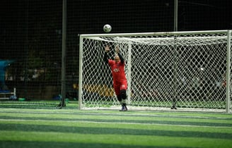 abh gama minsoc