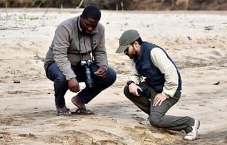 The Lion Team looking for tracks