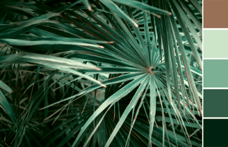 Planche décoration montrant des plantes vertes et un échéancier de couleurs